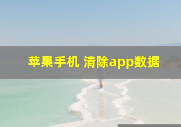 苹果手机 清除app数据